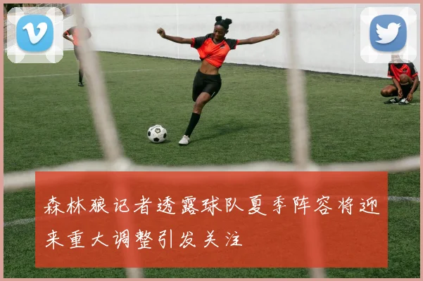 森林狼记者透露球队夏季阵容将迎来重大调整引发关注