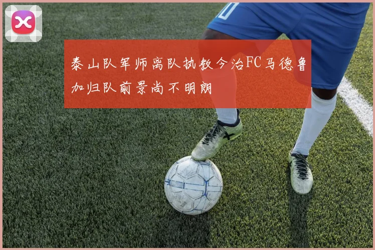 泰山队军师离队执教今治FC马德鲁加归队前景尚不明朗