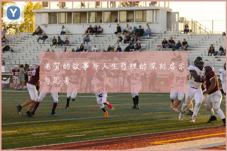 老贺的故事与人生哲理的深刻启示与思考